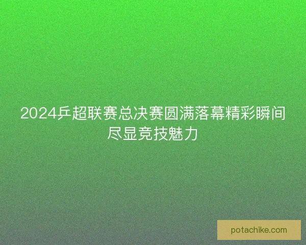 2024乒超联赛总决赛圆满落幕精彩瞬间尽显竞技魅力